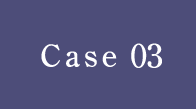 CASE03